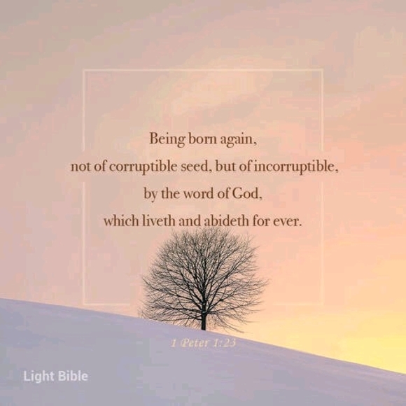 Meet your Posher, Brigitt - Picture 1 of 1